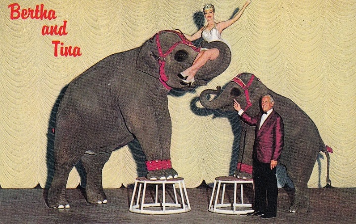 Performing Pachyderm